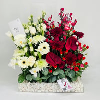 6559 - صورة 1