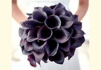 4632-78 - صورة 1