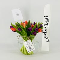 13546 - Image 1