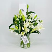 3727-321 - Image 1