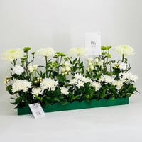 9845N - Image 2