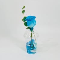 10802 - Image 3