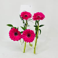 11413-340 - صورة 3
