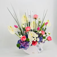 9074-559 - صورة 2