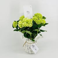 9529-311 - Image 3