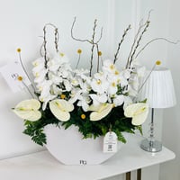 9184-642 - Image 1