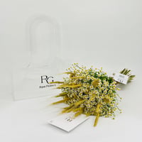 10903 - Image 1