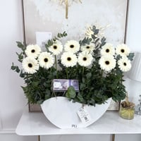 15929 - صورة 2