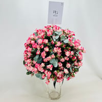 599-351 - صورة 3