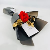 3608-160 - صورة 1