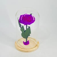 11231 - صورة 1