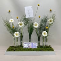 7715 - Image 1