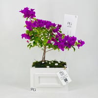 12453 - Image 1