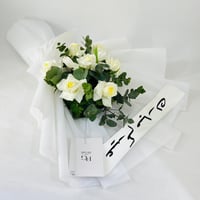 12046 - Image 1