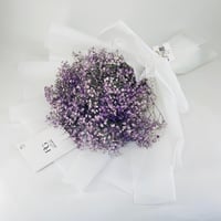 6648 - Image 2