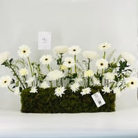 12949 - Image 1