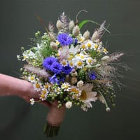 2972 - Image 1