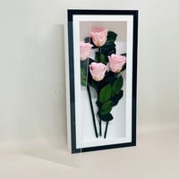 7860 - Image 2