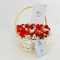 2724-151 - صورة 2