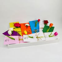 9833 - صورة 2