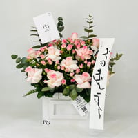 11788 - صورة 1
