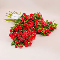 7640-31 - صورة 1