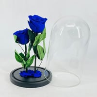 4272-153 - Image 1