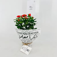 13981 - Image 2