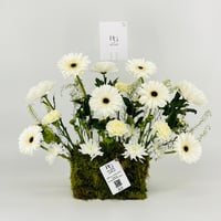 12948 - Image 1