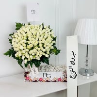 13447 - صورة 1