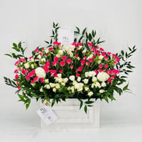 8334-117 - صورة 1