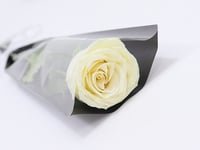 0039 - صورة 3