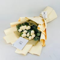 13831 - صورة 4