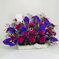 11132-537 - Image 2