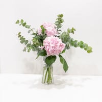 2749-13 - صورة 1