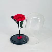 11232-578 - صورة 2