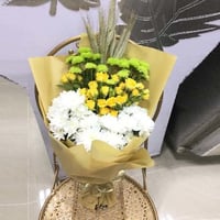 279 - صورة 1