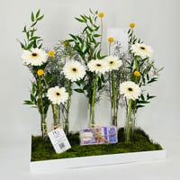 11586 - صورة 2
