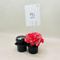 3764 - Image 1
