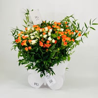 10408-421 - صورة 3