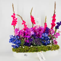 14512 - صورة 2