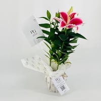 9645-576 - صورة 2