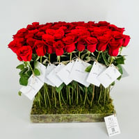 13909 - Image 4
