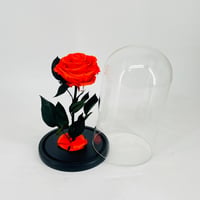 11279-465 - صورة 2