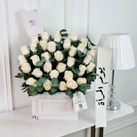 17141 - صورة 1
