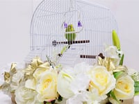 Love bird with cage decorated with colorful artificial flowers.01 - Image 4
