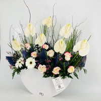 13361 - صورة 2