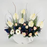 13361 - صورة 4
