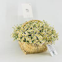 14462 - Image 2