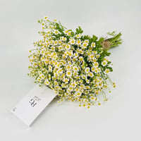 2568N - صورة 2